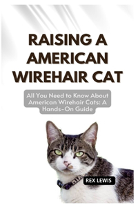 Raising a American Wirehair Cat
