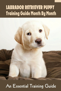 Labrador Retriever Puppy Training Guide Month By Month