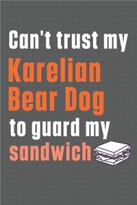 Can't trust my Karelian Bear Dog to guard my sandwich