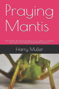 Praying Mantis