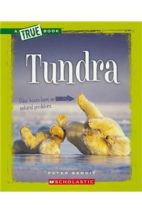 Tundra