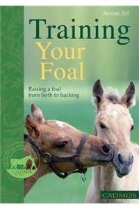 Training Your Foal