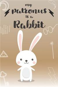 My Patronus Is A Rabbit