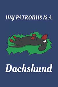 My Patronus Is a Dachshund