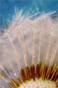 Fluffy Dandelion Ultra Close-Up Journal