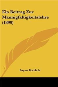Ein Beitrag Zur Mannigfaltigkeitslehre (1899)