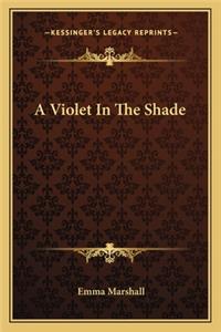 A Violet in the Shade