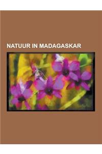Natuur in Madagaskar: Endemisch Dier Uit Madagaskar, Endemische Plant Uit Madagaskar, Nationaal Park Van Madagaskar, Nationaal Park Masoala,