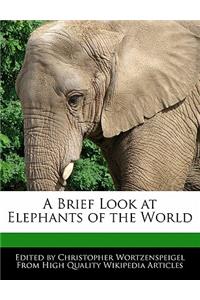A Brief Look at Elephants of the World
