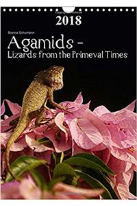 Agamids - Lizards from the Primeval Times 2018