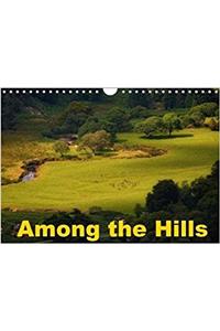 Among the Hills 2018