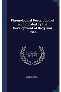 Phrenological Description of an Indicated by the Development of Body and Brian