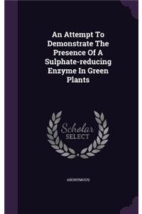 An Attempt To Demonstrate The Presence Of A Sulphate-reducing Enzyme In Green Plants