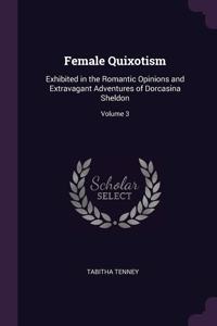 Female Quixotism