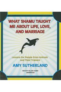 What Shamu Taught Me about Life, Love, and Marriage