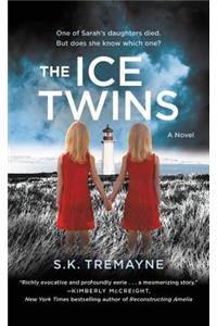 The Ice Twins