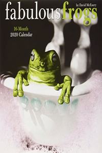 FABULOUS FROGS 2020 SQUARE WALL CALENDAR