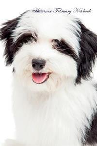 Havanese February Notebook Havanese Record, Log, Diary, Special Memories, To Do List, Academic Notepad, Scrapbook & More