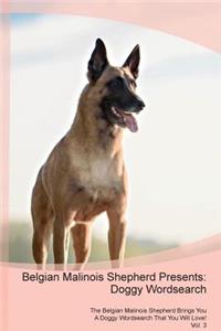 Belgian Malinois Shepherd Presents