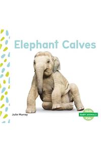 Elephant Calves
