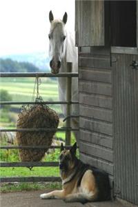 Equine Journal Horse And Dog