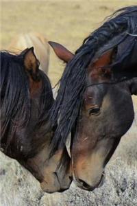 Wild Mustangs in Wyoming Horse Journal