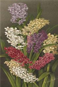 Bouquet of Hyacinths