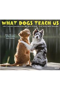 What Dogs Teach Us 2020 Box Calendar