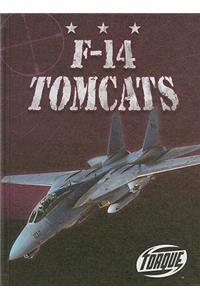 F-14 Tomcats