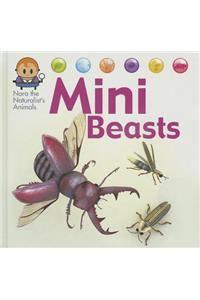 Mini Beasts