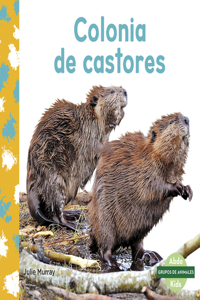 Colonia de castores (Beaver Colony)