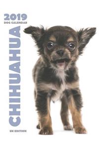 Chihuahua 2019 Dog Calendar (UK Edition)