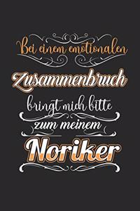 Bei einem Emotionalen Zusammenbruch Bringt Mich Bitte Zu Meinem Noriker: Modellflug & Modellflieger Notizbuch 6'x9' Punktiert Geschenk für Flugzeug & Pilot