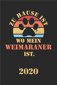 Weimaraner 2020