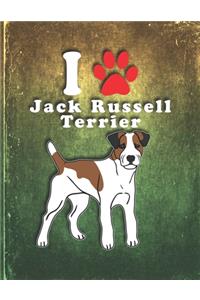Jack Russell Terrier