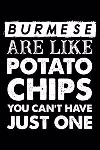 Burmese Are Like Potato Chips You Can't Have Just One