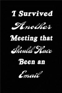 I Survived Another Meeting that Should Have Been an Email/Journal/Notebook 6x9 120 Pages