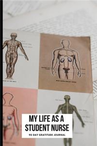 My Life As A Student Nurse