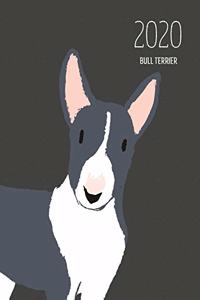 2020 Bull Terrier