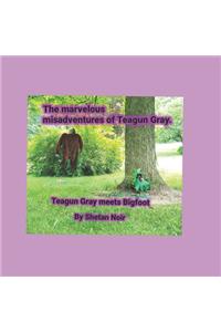 The marvelous misadventures of Teagun Gray