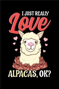 I Just Really Love Alpacas, OK?