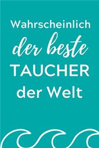 Wahrscheinlich Der Beste Taucher Der Welt