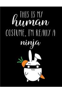 This Is My Human Costume, I'm Really A Ninja