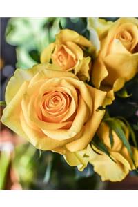 Yellow Roses Dot Grid Bullet Journal: 150 Page Notebook 8 X 10 Inches