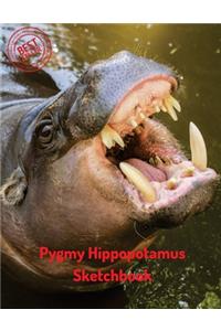 Pygmy Hippopotamus Sketchbook: Blank Paper for Drawing, Doodling or Sketching 120 Large Blank Pages (8.5"x11") for Sketching, inspiring, Drawing Anything Kids Love to do and to Im