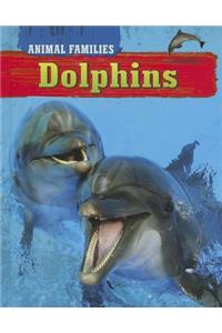 Dolphins