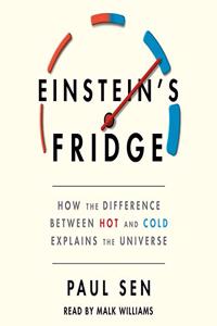 Einstein's Fridge