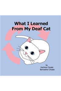 What I Learned From My Deaf Cat