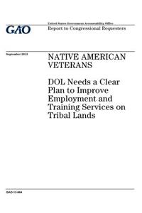 Native American veterans