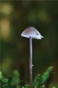 Alpino Oriented Milk Helmling Mushroom Notebook